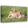 thumbnail image 1 of Susann Parker 32x23 Gallery Wrapped Canvas Wall Art Titled - Pride of a Lioness, 1 of 4