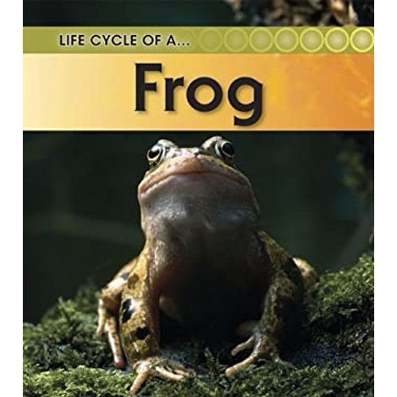Pre-Owned Frog (Paperback) 9781432925369