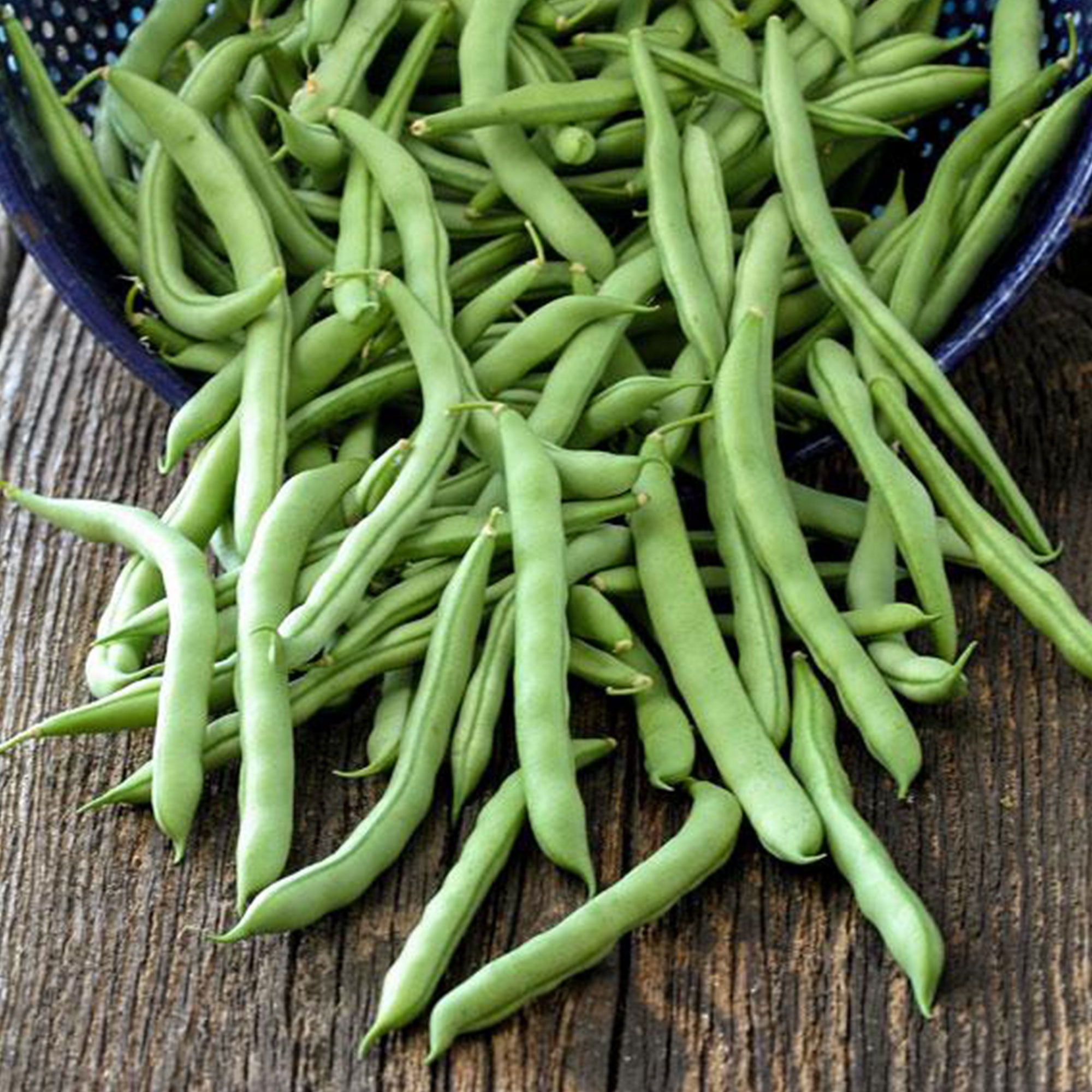 blue-lake-fm1k-pole-bean-1-2-oz-40-seeds-heirloom-non-gmo-open