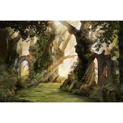 Spring Childr Enchanted Gard Birthday Party Background Fairy Forest Butterfly Photo Z Backdrop Photography Props