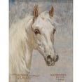thumbnail image 3 of Alexander Pock 15x18 Black Modern Framed Museum Art Print Titled - Calais Horse Portrait, 3 of 5