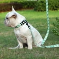 thumbnail image 6 of Print Nylon Dog Collar and Leash Set Adjustable Puppy Collars Soft Pet Necklace Walking Leash for Small Medium Dogs Cats Bulldog (green,XS), 6 of 7