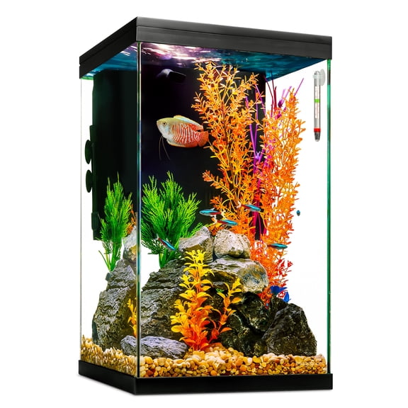 Imagitarium Column Glass Aquarium Kit with Lighting Filtration & Accessories 12 Gallons