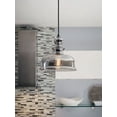 thumbnail image 6 of Staunton Collection One-Light Graphite Smoke Glass Global Pendant Light, 6 of 10