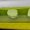 NEON GREEN, variant on NIKE MENS Air Max Genome "NEON GREEN" CW1648 005 CW1648 005 from Stadium Goods