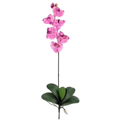 Nearly Natural Phalaenopsis Stem (Set of 12) Majestic in stature  yet delicate in form  this beautiful Phalaenopsis Orchid personifies exactly why orchids are so sought after. The crisp green stalk bursts forth from a leafy base and stands straight as an arrow  while the delicate blooms lightly grace the plant’s upper echelons. Available in several colors  these beautiful orchids make a perfect gift. Height: 31.5 In. Depth: 3 In. Width: 8.5 In. Planter  vase or basket is included in the height.