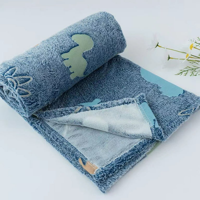 Walmart dinosaur online blanket