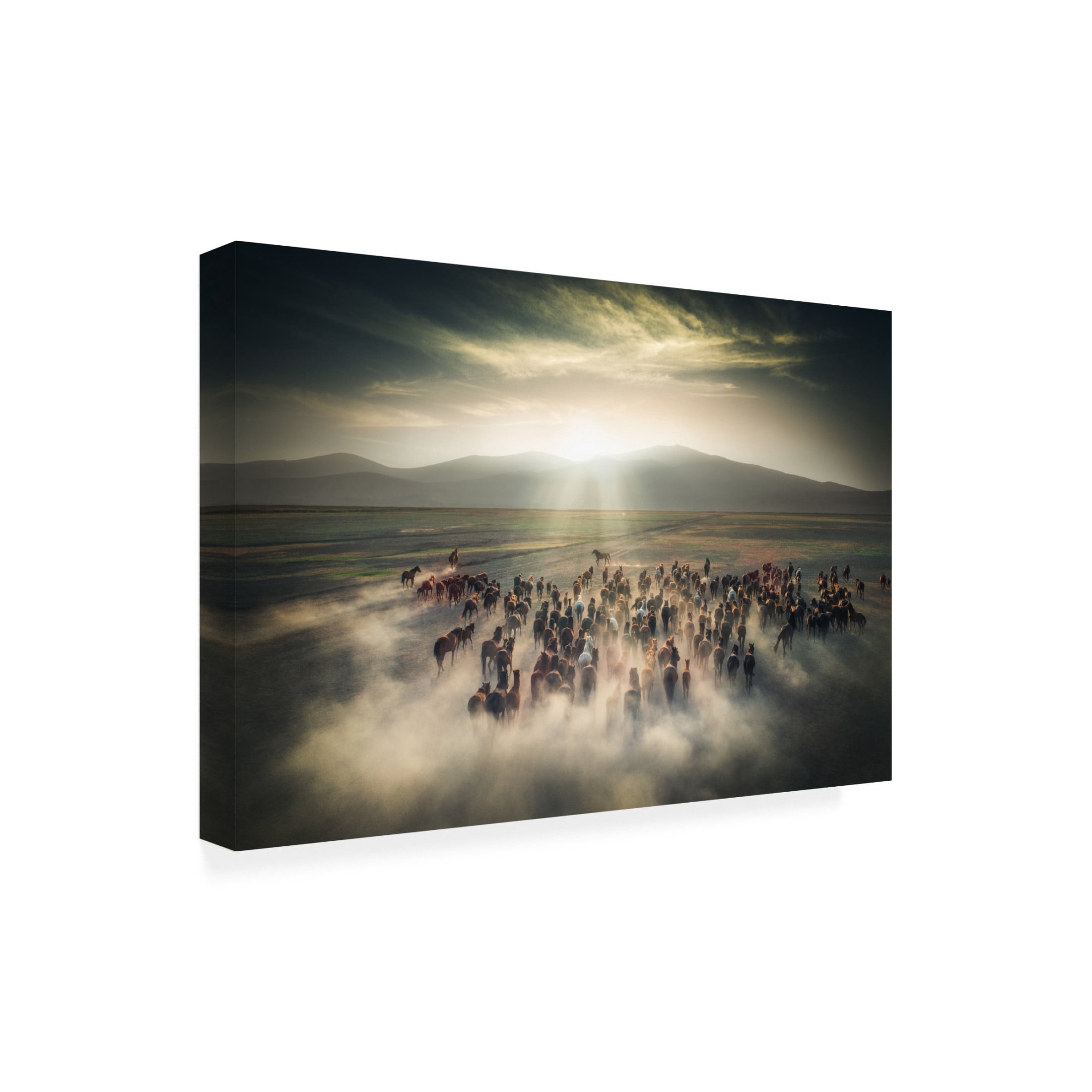 Cuma Cevik 'Wild Horses' Canvas Art - 19 x 12 Inches