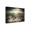 thumbnail image 4 of Cuma Cevik 'Wild Horses' Canvas Art - 47 x 30 Inches, 4 of 4