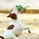 thumbnail image 5 of Pelota para perros Xihbxyly Juguete Interactivo, 5 of 7