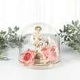 thumbnail image 3 of Plymor 5.5" x 5.5" Glass Display Dome Cloche (Gold Rim Glass Tray Base), 3 of 3