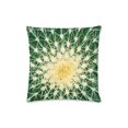 thumbnail image 1 of BSDHOME Cactus Core Deisign Cushion Cases Pillow Cover Two Sides Printing 16x16 Inches, 1 of 1