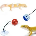 thumbnail image 3 of Visland Bearded Dragon Toys, Reptile Toy , Reptile Toy Bell Balls with Suction Cups and Ropes for Lizard Small Animals, 3 of 7