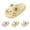 Yellow, variant on Cat Design Slides for Women and Men, Soft Comfortable Shower Sandals, Lightweight Non-Slip Bathroom Slippers, Funny Indoor Cartoon Footwear