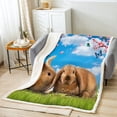 thumbnail image 2 of Rabbit Fleece Blanket Cute Bunnies Sherpa Blanket, Chic Cherry Blossoms Blanket Blue Butterfly Throw Blanket for Sofa, Green Grass Blue Sky Flannel Blanket Farm Animal Decor, 2 of 6