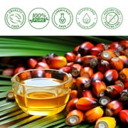 Mooyam 3 Pack Batana Oil-Natural Conditioner-Moisturizes Hair & Scalp-100% Pure & Natural Organic Essential Oil for Hair,Skin- 6.06 fl.oz