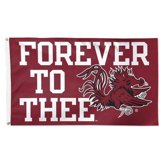 WinCraft South Carolina Gamecocks 3' x 5' Single-Sided Deluxe Team Slogan Flag