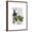 Brown Frame, variant on Art.com Mr Deer and Mrs Rabbit Art Print by Fab Funky, 12" x 16"