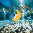 thumbnail image 1 of Houderco 2Ud De Paisaje Para Acuario Con Flotantes Y Material No Contaminante, 1 of 8
