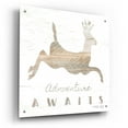 thumbnail image 2 of Epic Art 'Adventure Awaits Deer' by Cindy Jacobs, Acrylic Glass Wall Art, 24"x24", 2 of 8