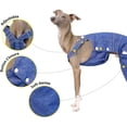 thumbnail image 2 of UOSIA Italian Greyhound Clothes Dog Denim Overalls Fashionable Puppy Jean Jacket, 2 of 6