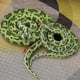thumbnail image 4 of 2m Simulated Snake Plush Toy Soft And Comfortable Fabic Suitable For Haunted House Decoration, 4 of 5