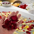 Changmusheng Dried Flower Confetti Spa Flower Petals Rose Petals for