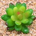 thumbnail image 2 of serony Pack of 12 Artificial Succulent Plant Decorative Simulation Plants Party Realistic Succulents Balcony Gift Color Random, 2 of 5