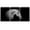 B35-2107-03-EVA031, variant on PixonSign Canvas Print Wall Art Set Pinhole Style Horse Portrait Animals Wildlife Photography Realism Rustic Closeup Relax/Calm Dark Black and White for Living Room, Bedroom, Office - 24"x36"x3