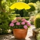 thumbnail image 4 of MTBLYS Sombrilla para plantas de exterior | Protección solar ajustable | 65 cm de diámetro | Sombrilla de jardín para macetas | Cubierta de sombra para plantas en maceta | Maceta, 4 of 7