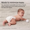 thumbnail image 6 of Coterie Ultra Soft Diapers Newborn (Size- N), 6 of 6