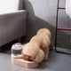 thumbnail image 3 of Dispensador de Agua para Mascotas y Gatos, Recipiente para Comida para Perros de 1,8 L, Comedero Automático, Color Rosa., 3 of 7