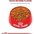 thumbnail image 2 of Breed Health Nutrition Boxer Puppy Dry Dog Food 30 lbs., 2 of 2