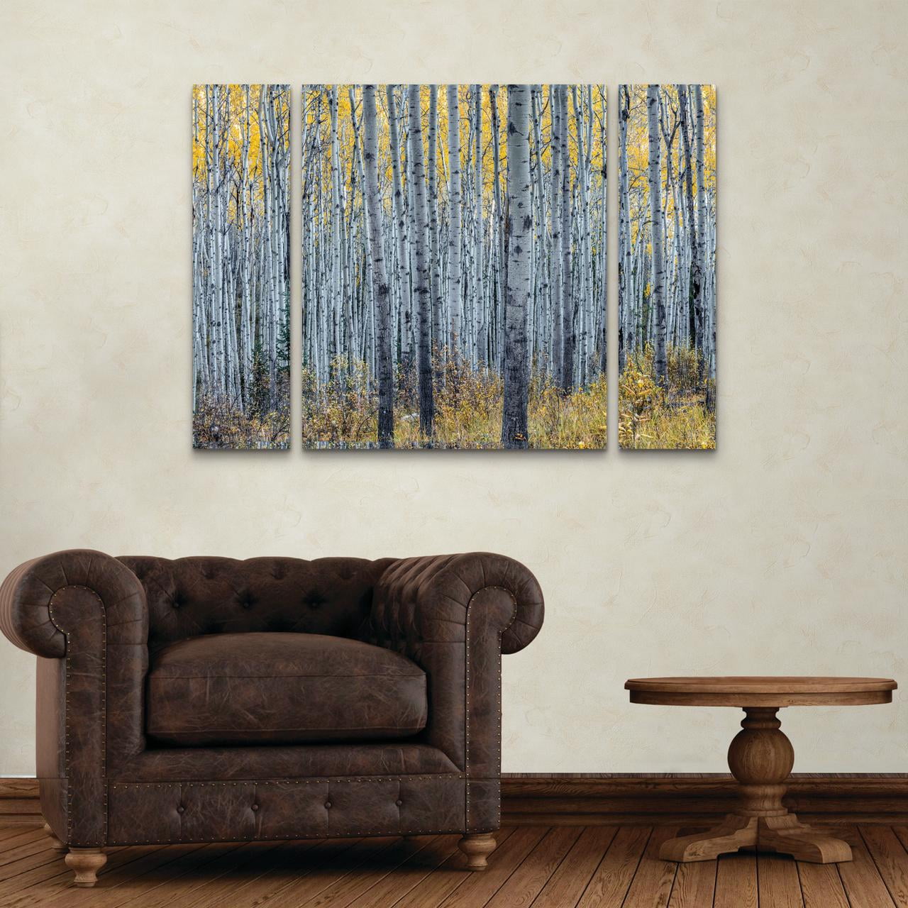 Trademark Fine Art 'Forest of Aspen Trees' Canvas Art by Pierre Leclerc