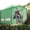 Green, variant on EAGLE PEAK 6x4 Portable Walk-in Greenhouse Instant Outdoor Gardening Green House Canopy,Green