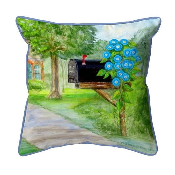 Betsy Drake SN1005 12 x 12 in. Glorious Morning Small Indoor & Outdoor Pillow