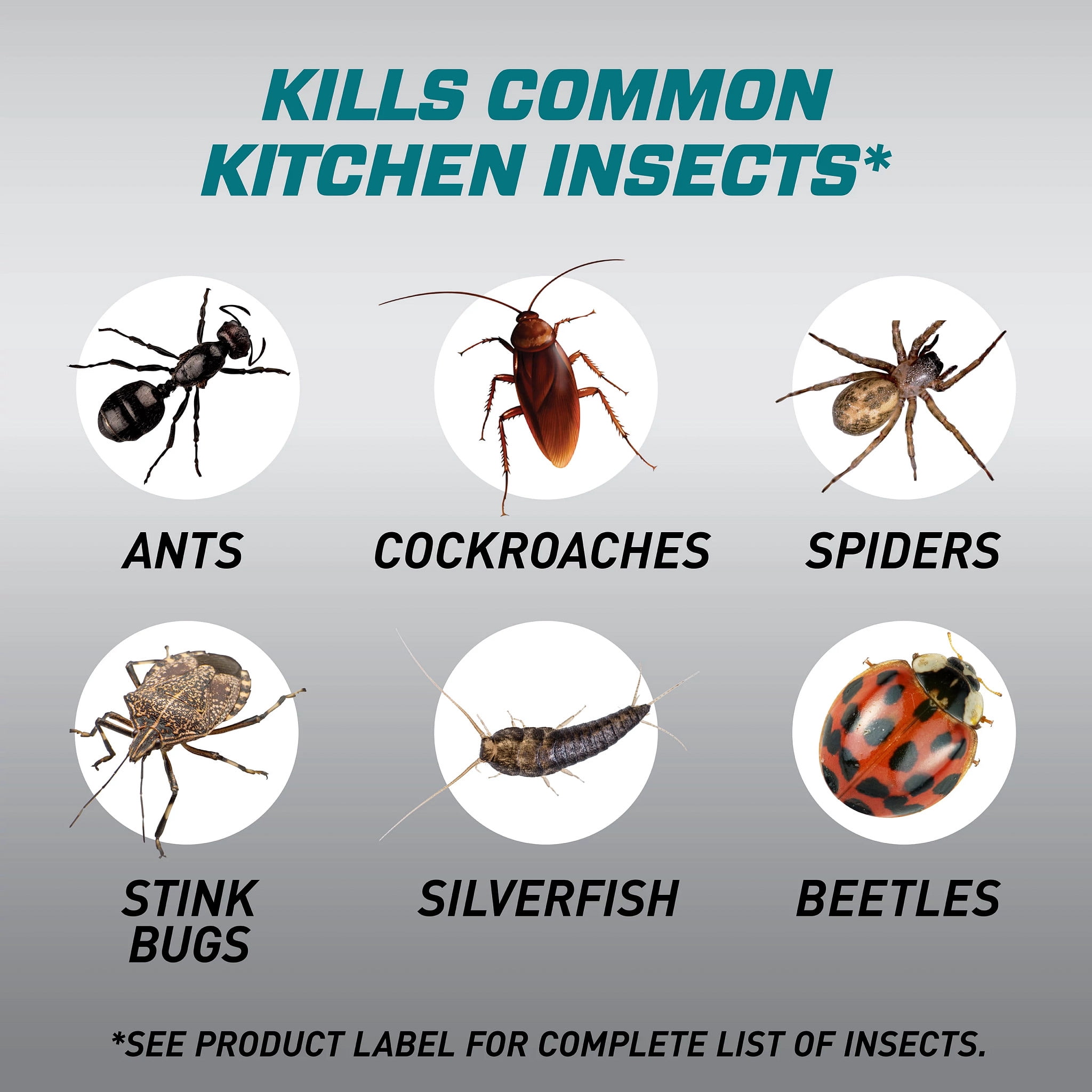 Ortho Home Defense Max Kitchen Insect Killer, Kills & Sanitizes 18 oz.
