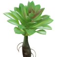 thumbnail image 1 of Coofit Mini Artificial Succulent DIY - Faux Succulent Plant Plastic Greenery Decoration, 1 of 3