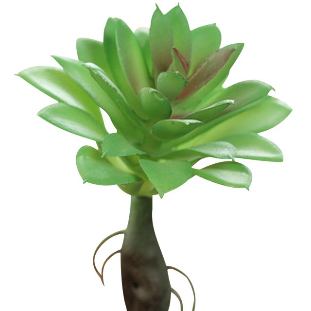 Coofit Mini Artificial Succulent DIY - Faux Succulent Plant Plastic Greenery Decoration