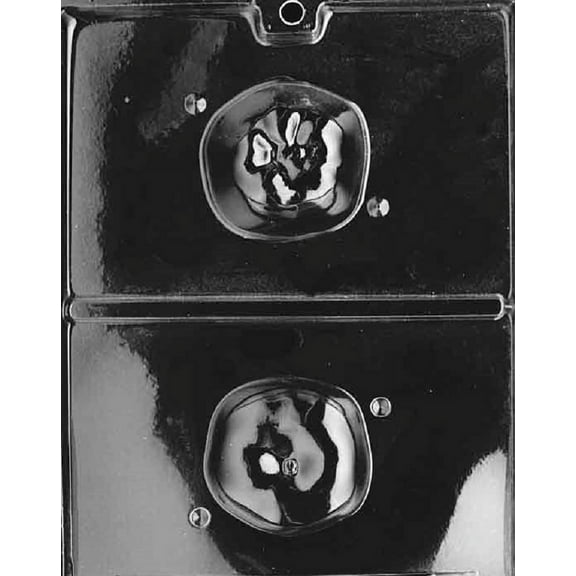 Grandmama's Goodies F063 3D Apple Chocolate Candy Soap Mold with Exclusive Molding Instructions