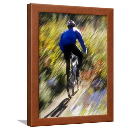 Blurred Action of Recreational Mountain Biker Riding on the Trails Framed Print Wall