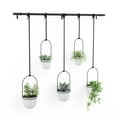thumbnail image 5 of Umbra Triflora Hanging Planter Set of 5 White, 5 of 7