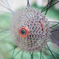 thumbnail image 3 of MTB 8 Speed 11-40T Cassette Freewheel Mountain Bike Bicycle Parts, 3 of 5