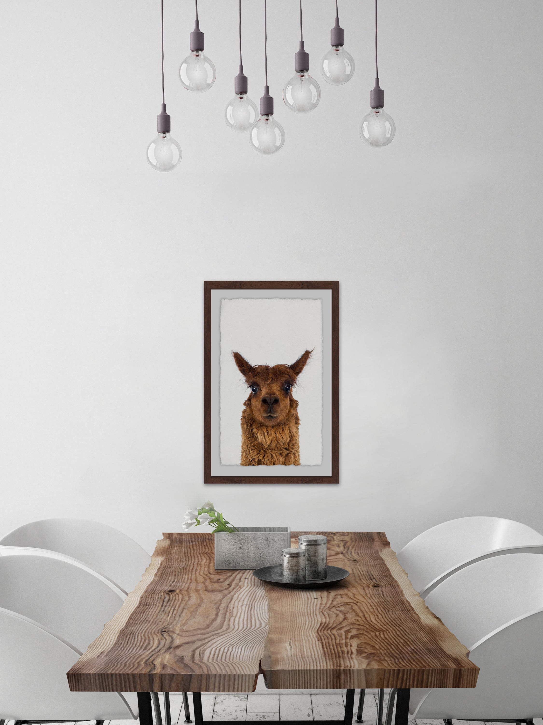 Staring Llama Framed Painting Print