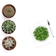 thumbnail image 1 of TABLETREANDS 15Ud Redonda De Malla Plástica Para Tejido Y Manualidades DIY, 1 of 6