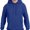 Deep Royal, variant on Hanes mens Pullover Ecosmart Hooded athletic sweatshirts, Deep Royal, X-Large US