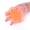 Orange, variant on Partheme Finger Exerciser and Hand Strengthener Rehab,Exercise Squeeze Ball for Hands,Grip Exerciser Hand Strengthener for Rehab,Arthritis,Carpal Tunnel, Blue