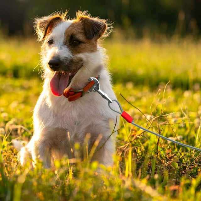 Durable Double Hook Steel Wire Dog Leash for Small and Medium Dogs Heavy Duty Chew Proof Pet Tether for Outdoor Training with Secure Walking and Control