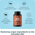 thumbnail image 2 of Ancient Nutrition Organ Supplements for Men, Once Daily Grass-Fed and Wild Organ Complex Tablets, Liver, Prostate, Pancreas Supports Male Performance, Healthy Aging, 30 Ct, 2 of 7