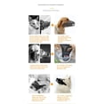 thumbnail image 2 of Nylon Dog Muzzle Air Mesh Breathable for Small Medium Large Dogs, and Stick Out Tongue Drinkable Pet Muzzle for Anti-Biting Prevent Eating Garbage,Gray L, 2 of 10